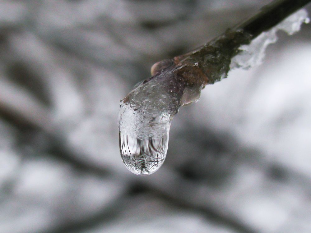 Photograph by Виктор Карпухин