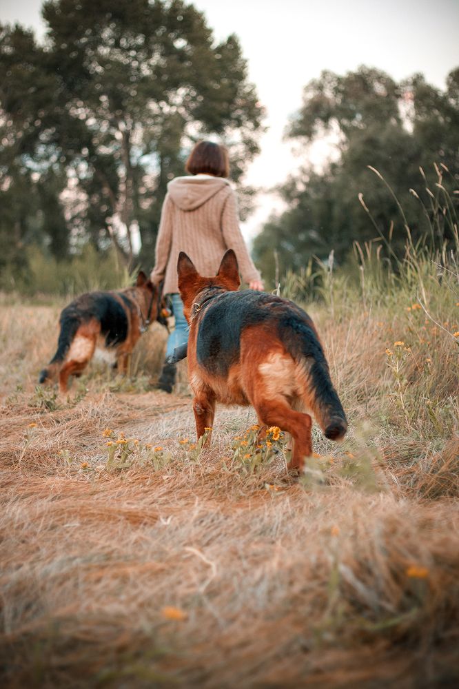 Photograph by Иван Япринцев