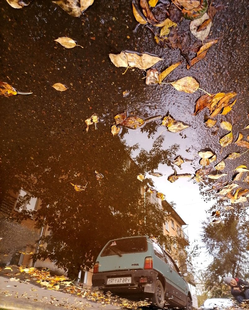 Photograph by Юлия Гагарина