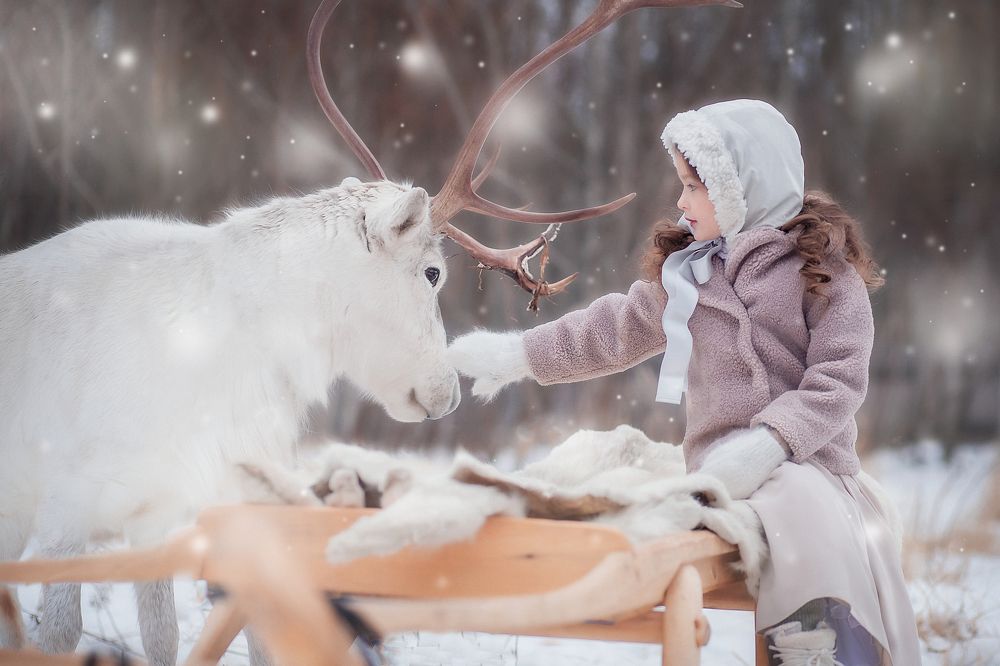 Photograph by Василиса Киржанова