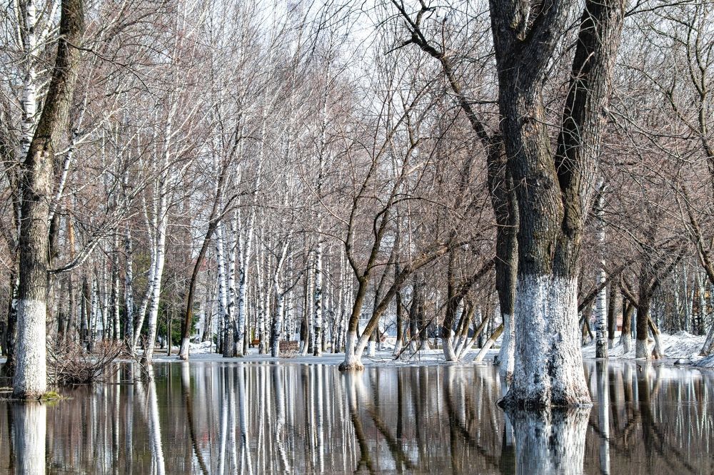 Photograph by Артем Штылев