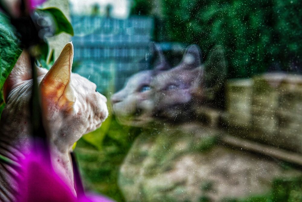 Photograph by Reinhold Seibel