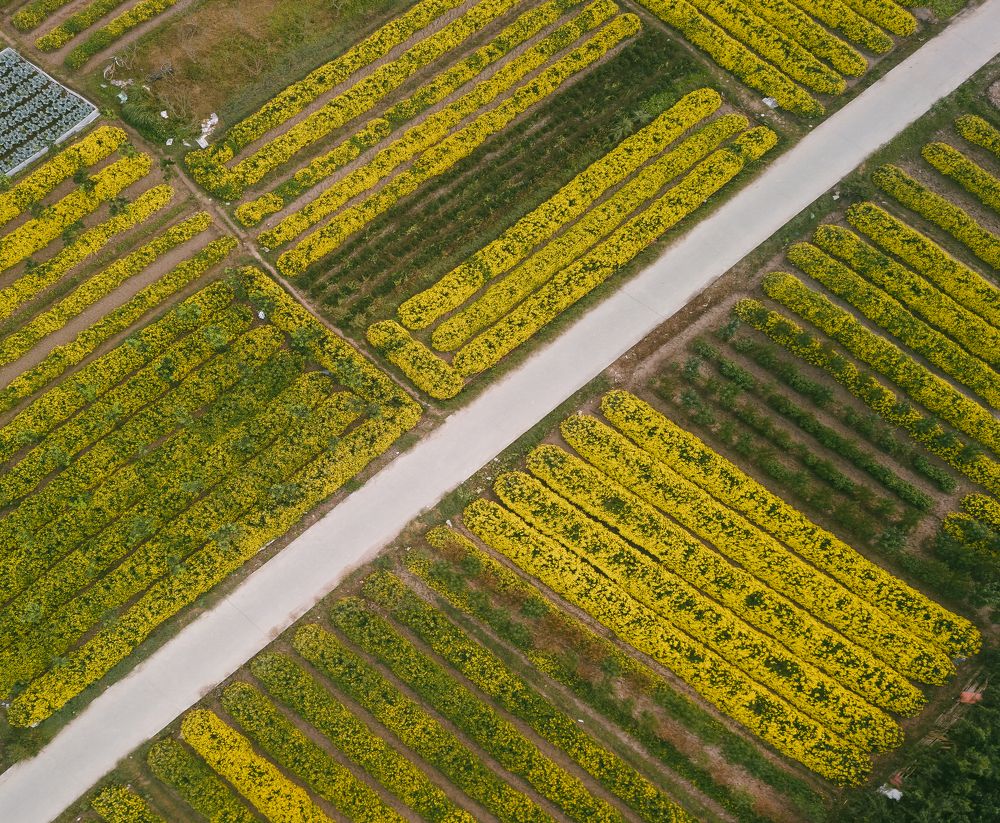 Photograph by Chris Duy