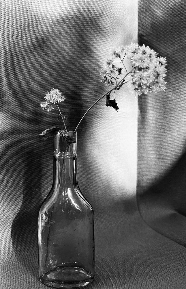 Photograph by Yuliya Trints