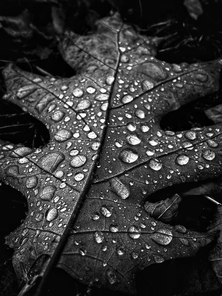 Photograph by Yuliya Trints