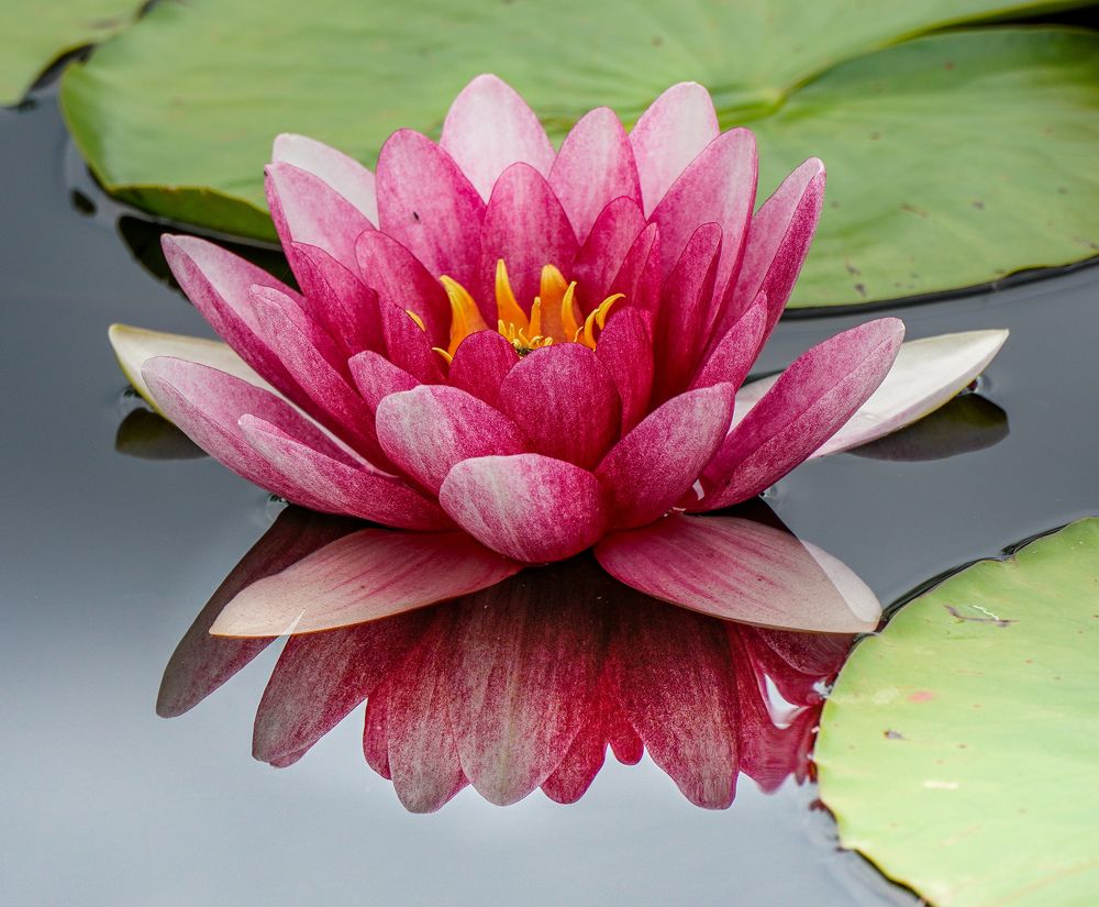 Photograph by Reinhold Seibel