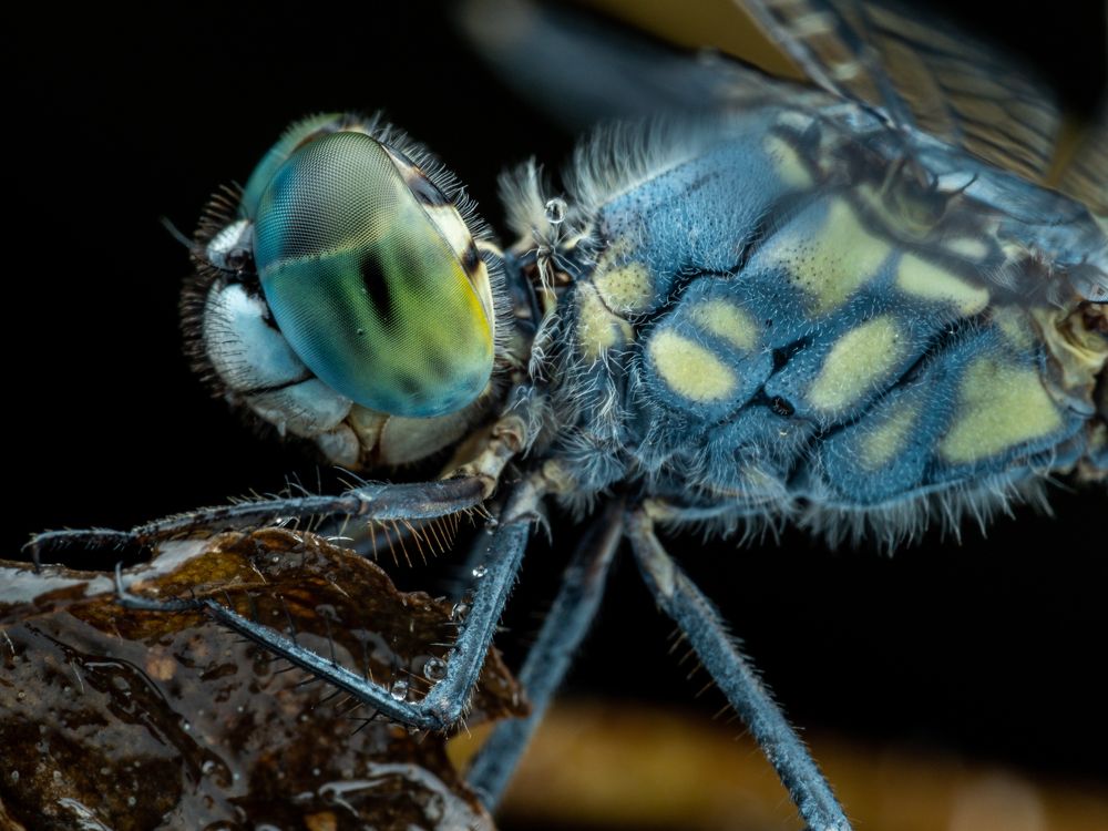 Photograph by Alstein Lai