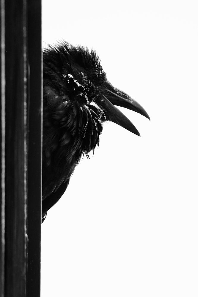 Photograph by Yuliya Trints