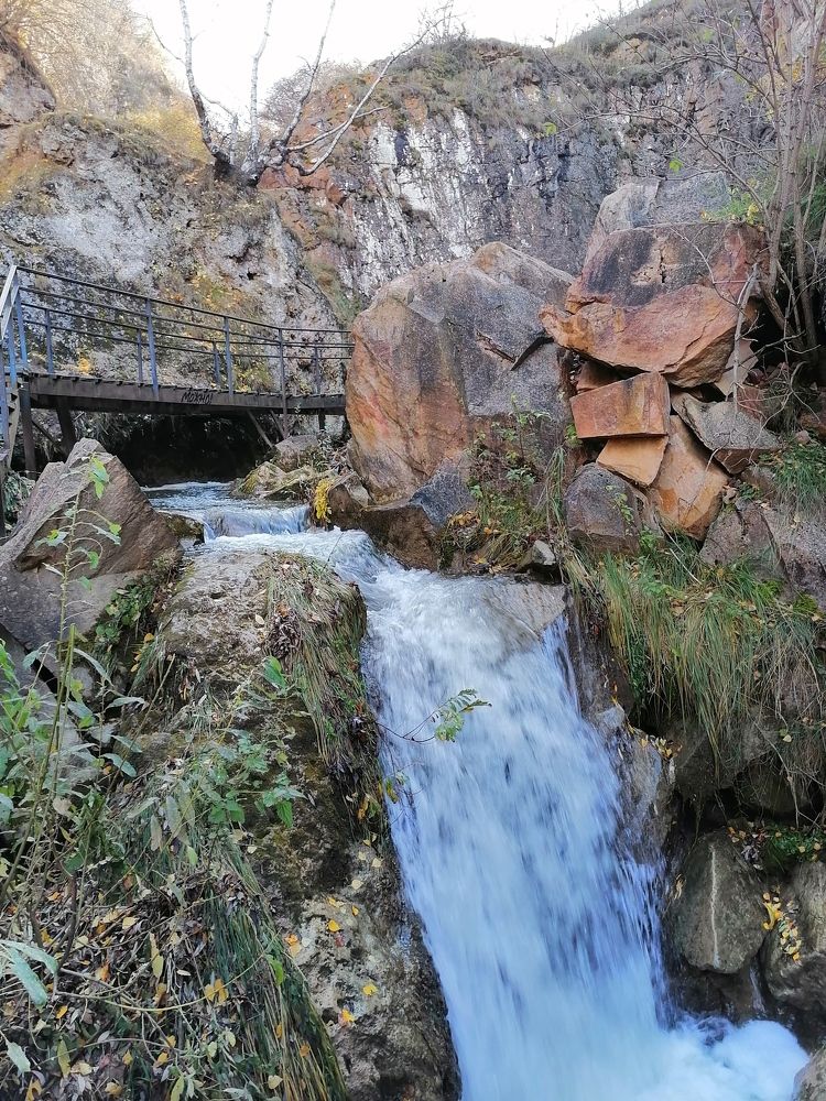 Photograph by Елена