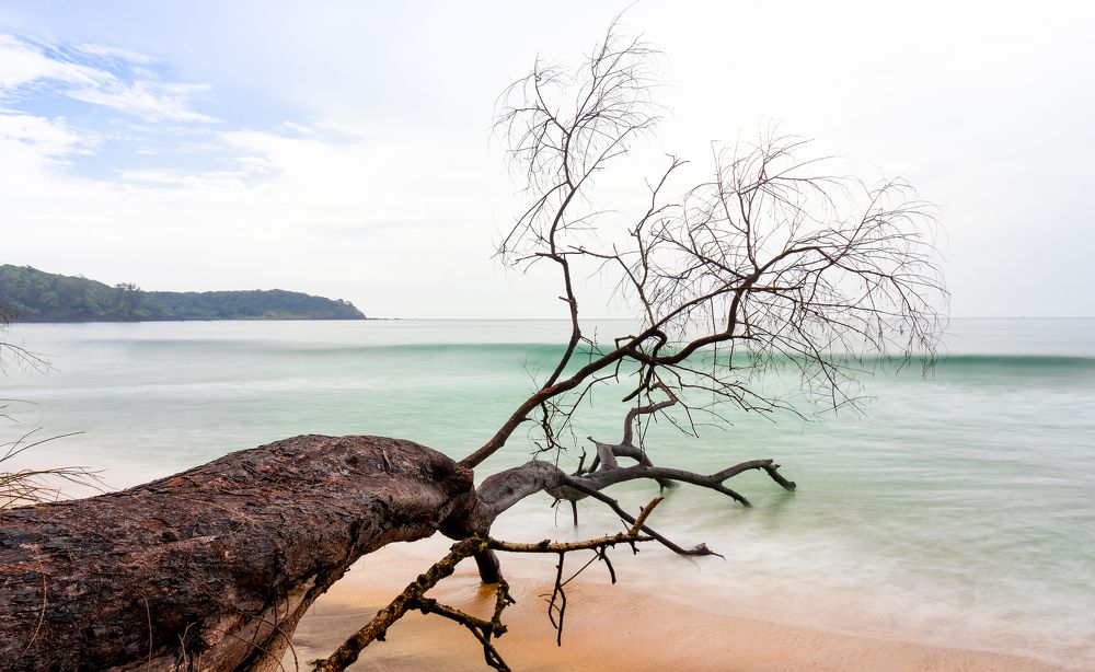 Calm after the Storm