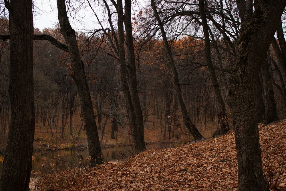 Photograph by Надежда Ржевская