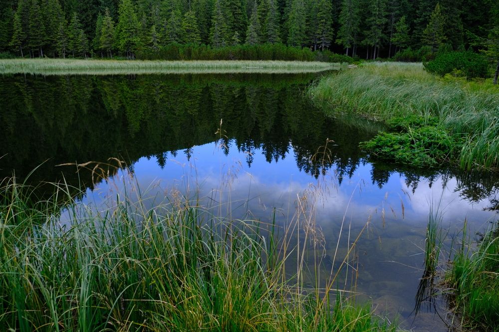 Photograph by Лена Силайчева