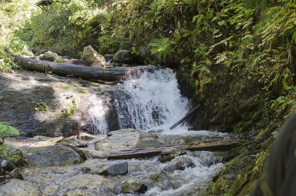 Фотография автора Людмила Куприянова