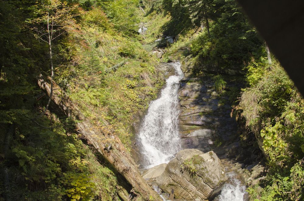 Фотография автора Людмила Куприянова