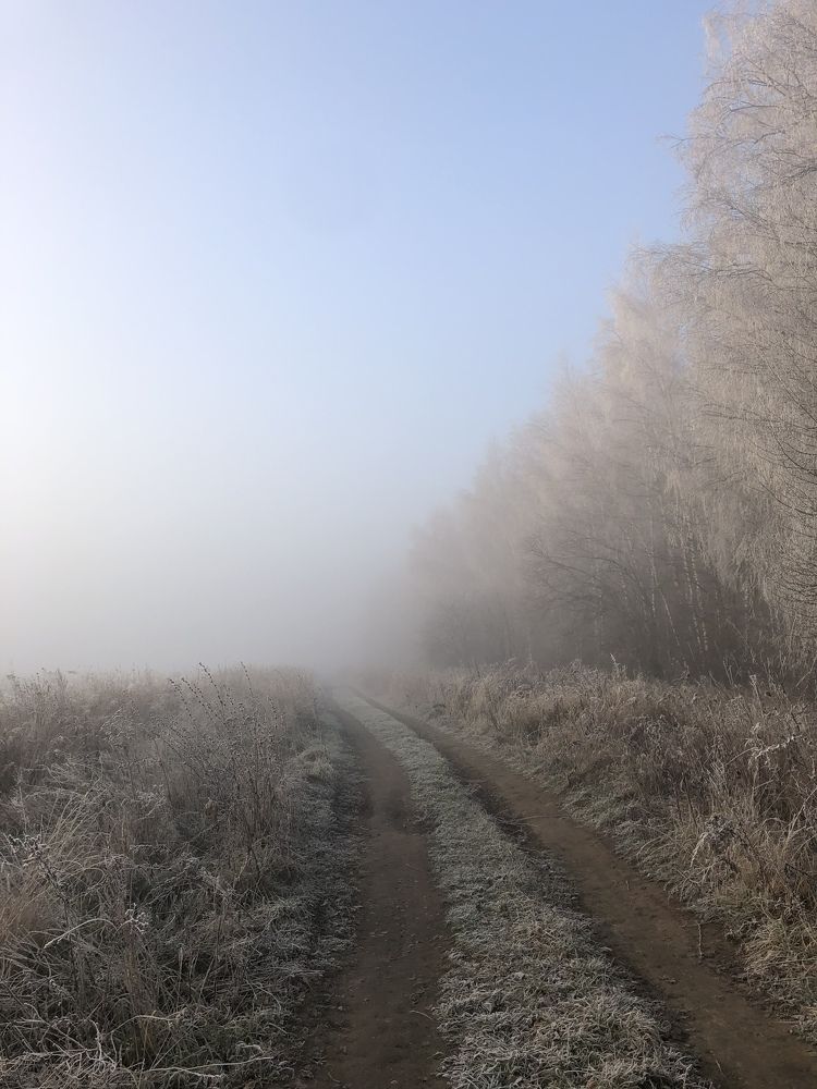 Туман 2021