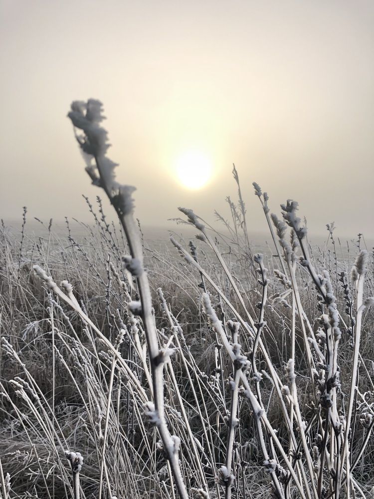 Photograph by Донская