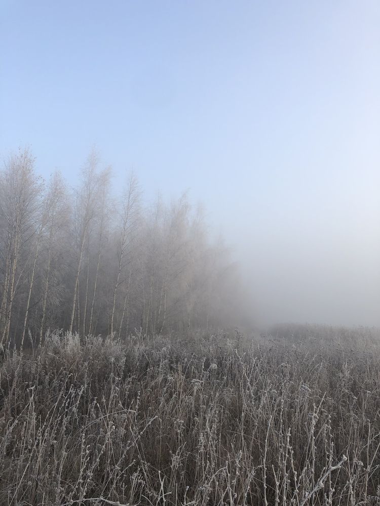Photograph by Донская