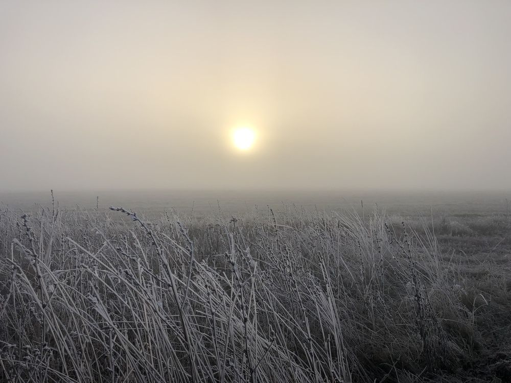 Photograph by Донская