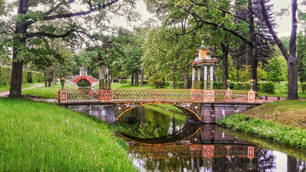 Фотография автора Ольга Левакова