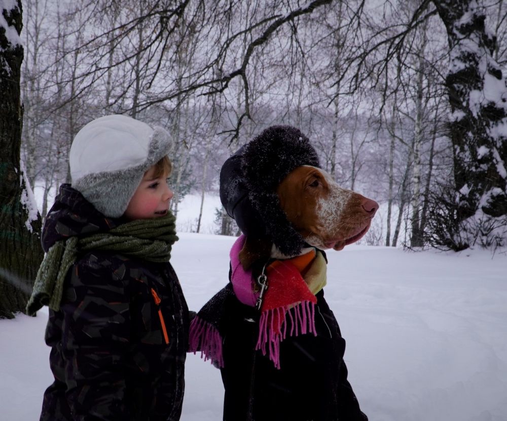 Photograph by Марина Безенкина