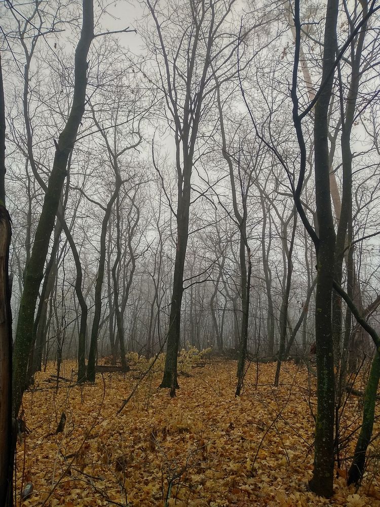 Photograph by Павел