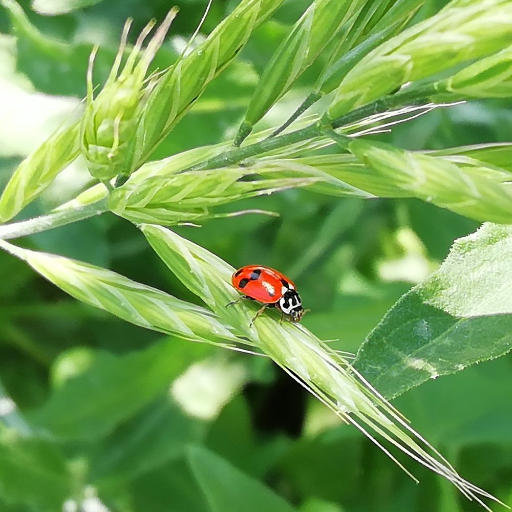 Photograph by Жанымерке Хайбулда