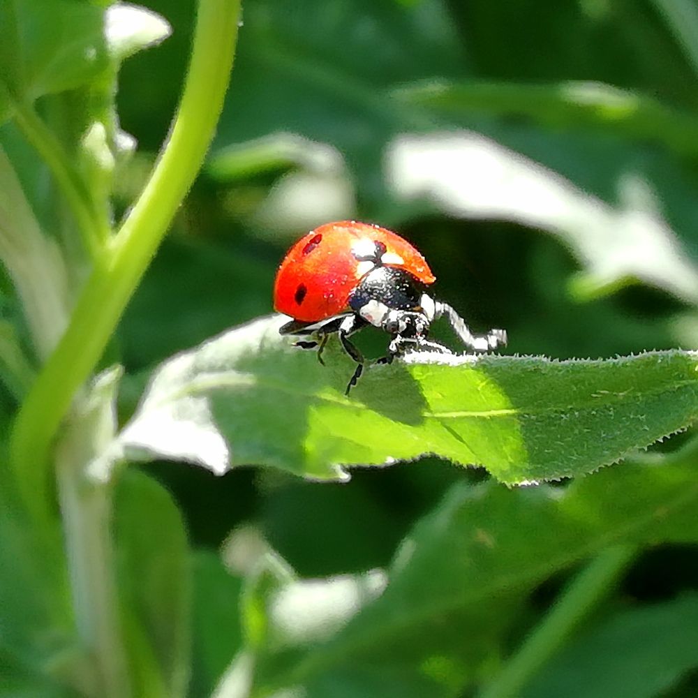 Photograph by Жанымерке Хайбулда