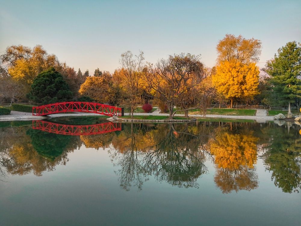 Фотография автора Zahra Seyedmorti