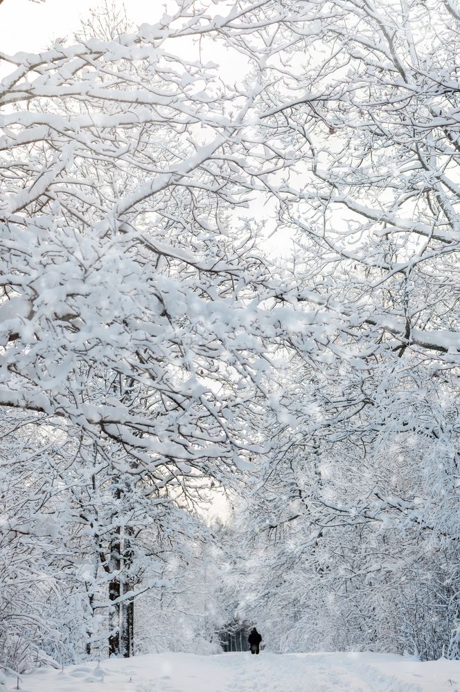 Photograph by Anna Makarenkova