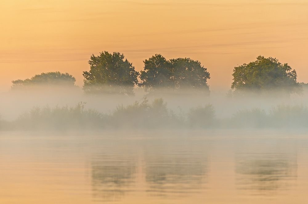 Фотография автора Андрей Лепилин