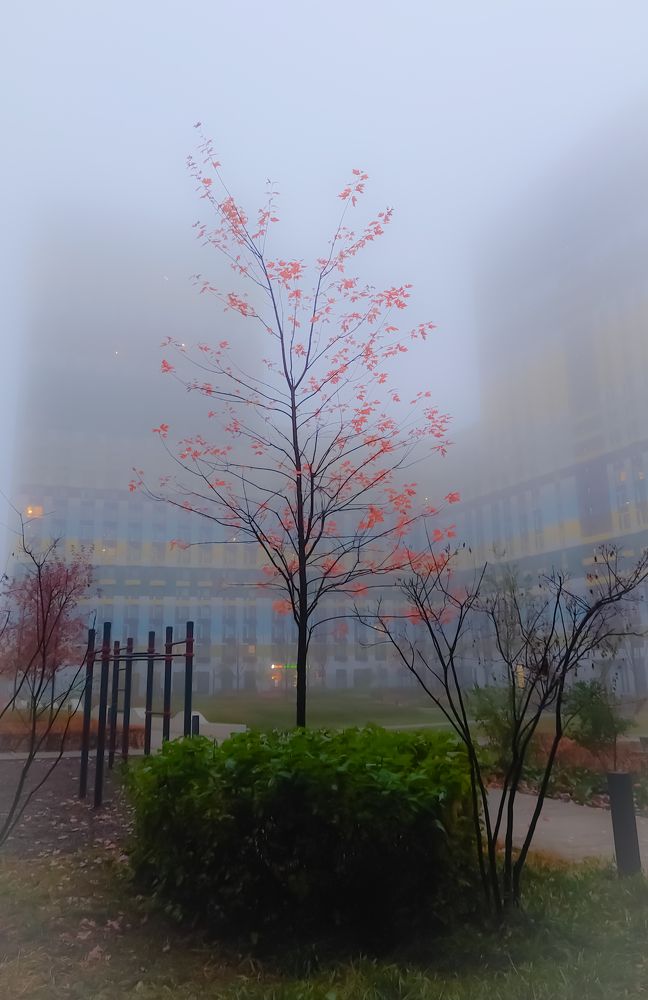 Photograph by Александр Гордиенко