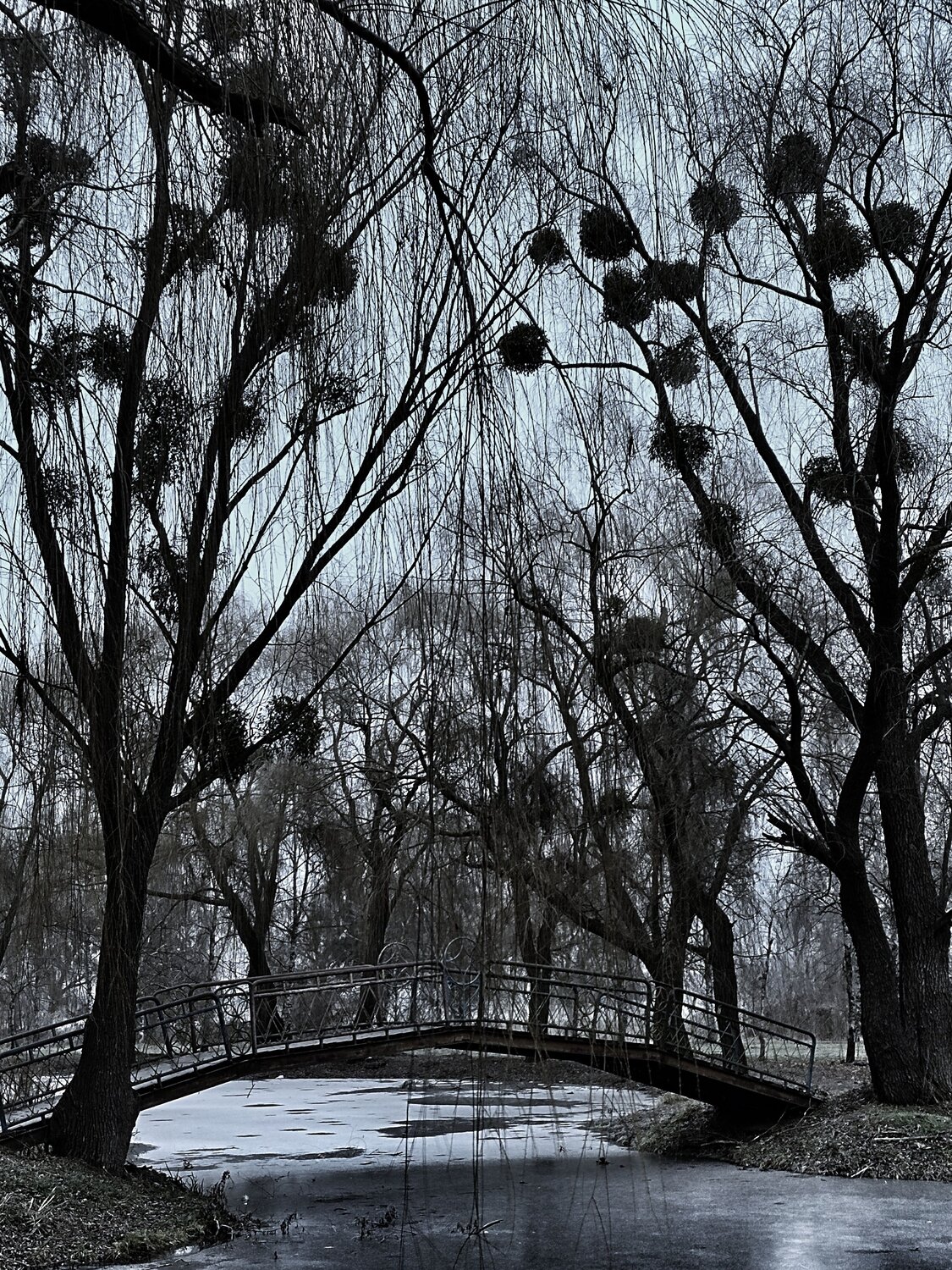 Photo #6837750