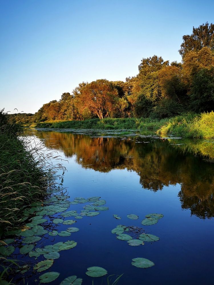 Photograph by Елена Артёменко