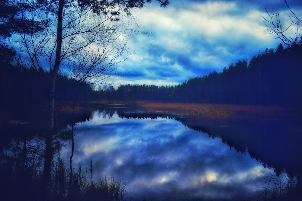 Photograph by Дайана