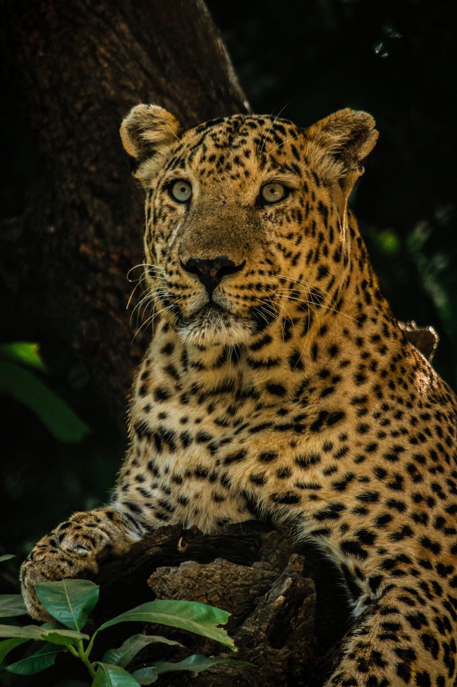 Photograph by Ayush Tripathi