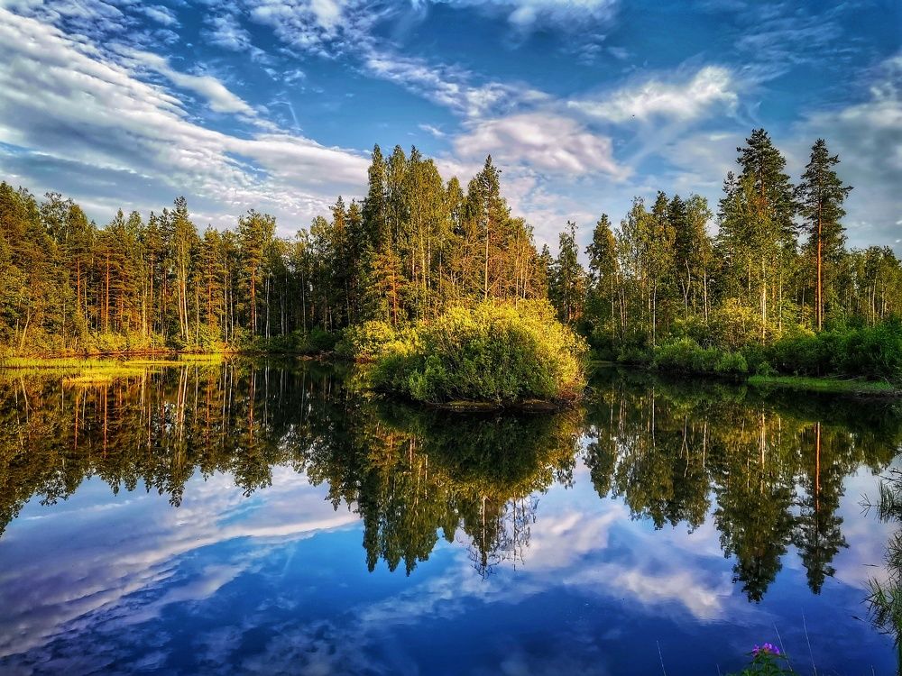 Photograph by Дайана