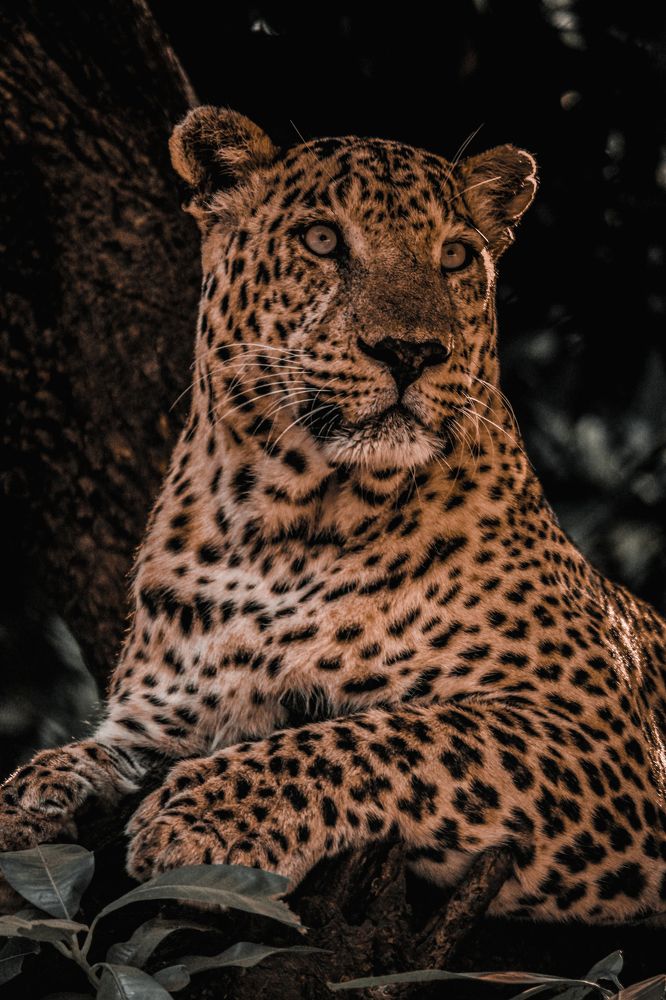 Photograph by Ayush Tripathi