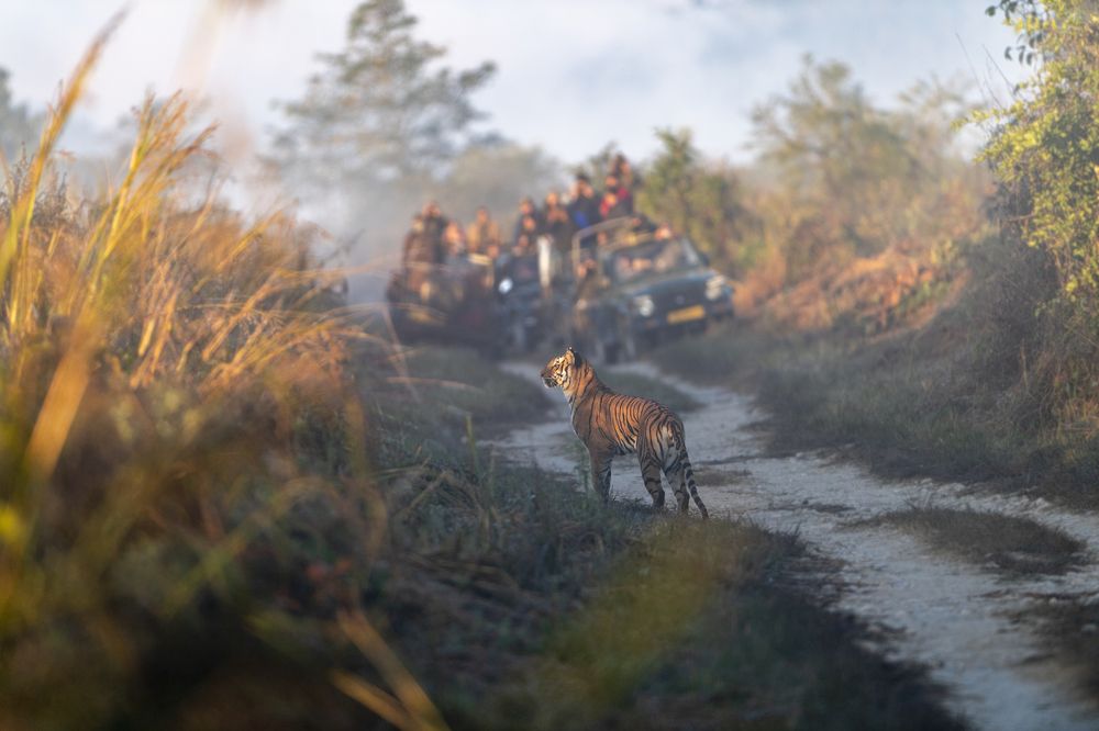 Photograph by Preet saluja