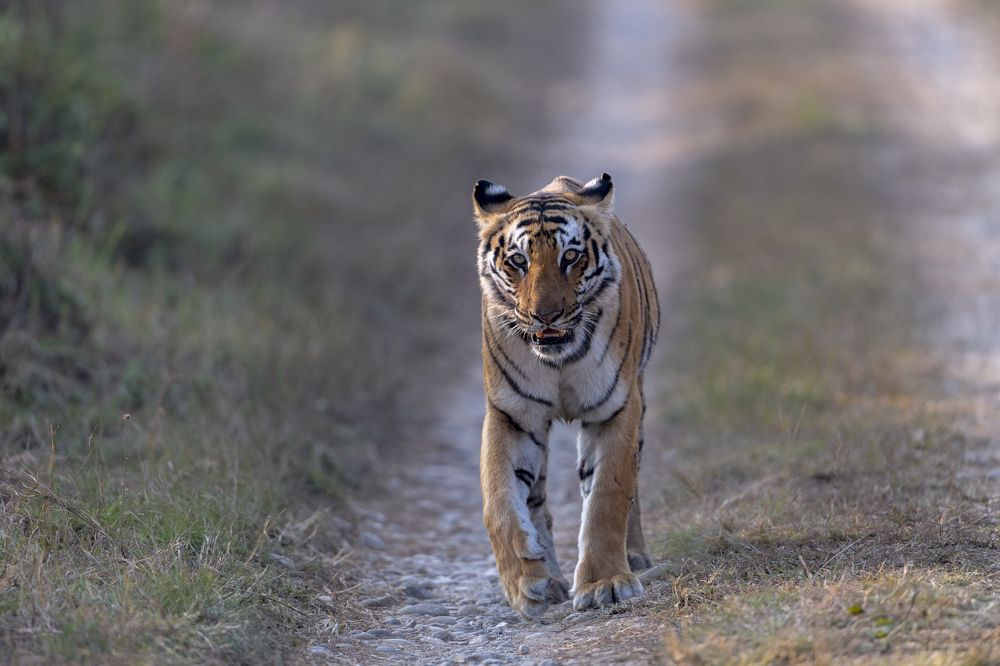 Photograph by Preet saluja