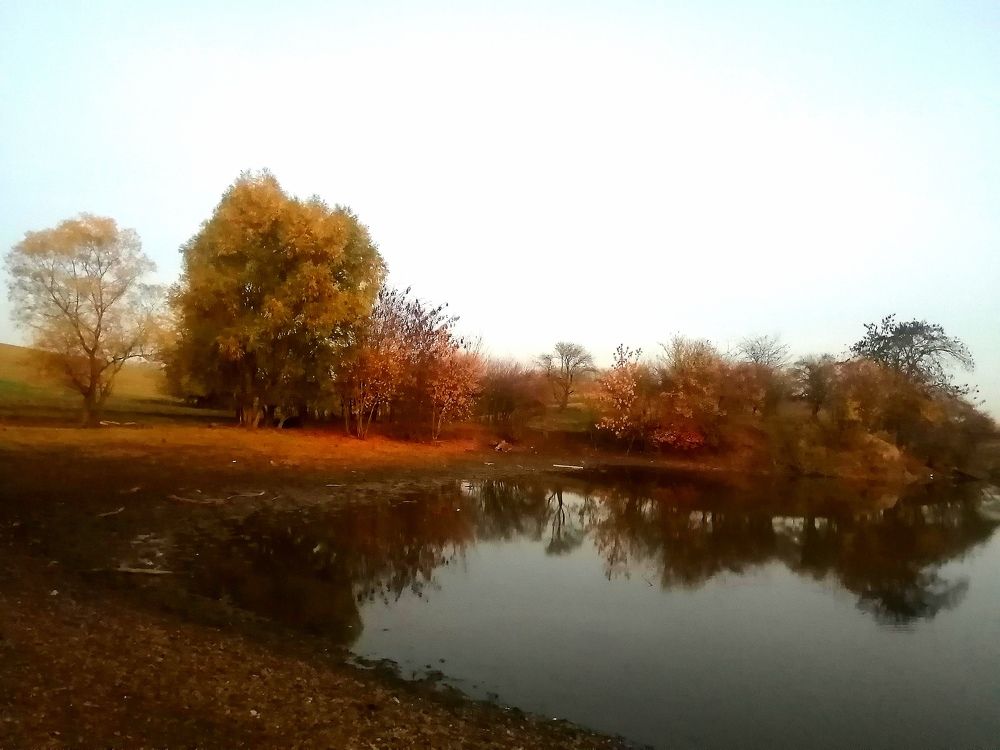 Photograph by Анна Володина