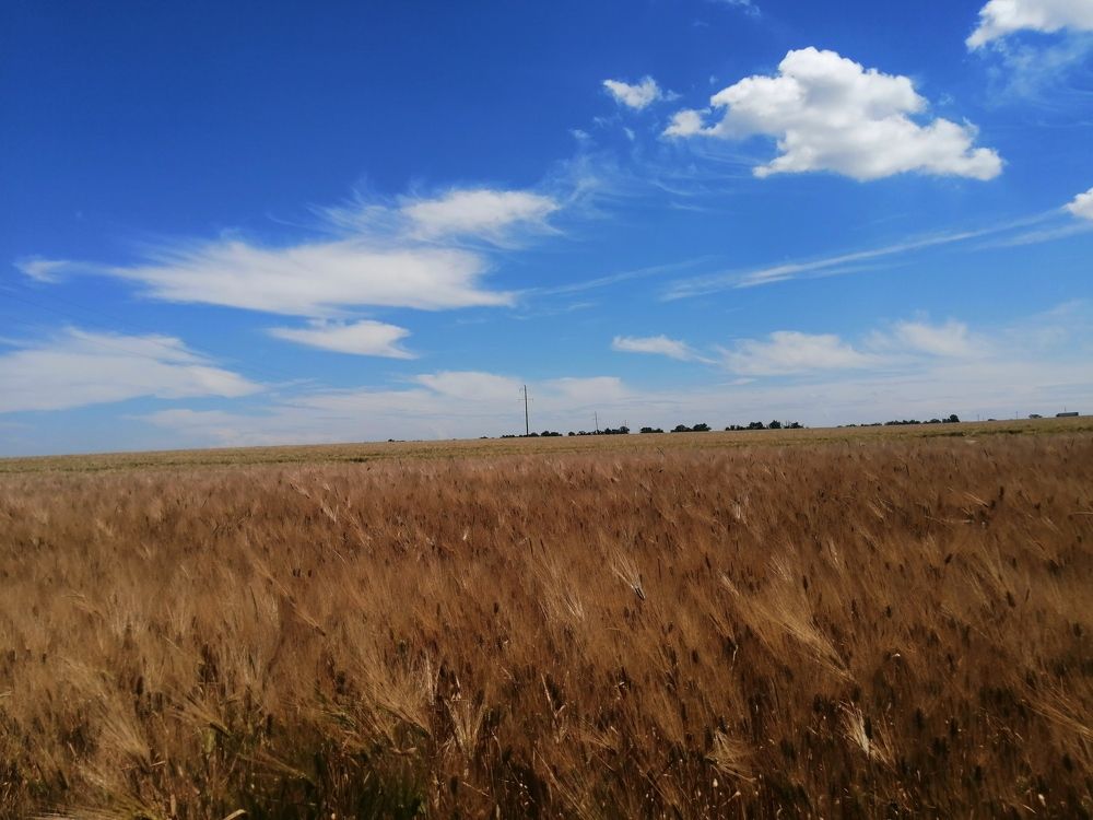 Photograph by Анна Володина