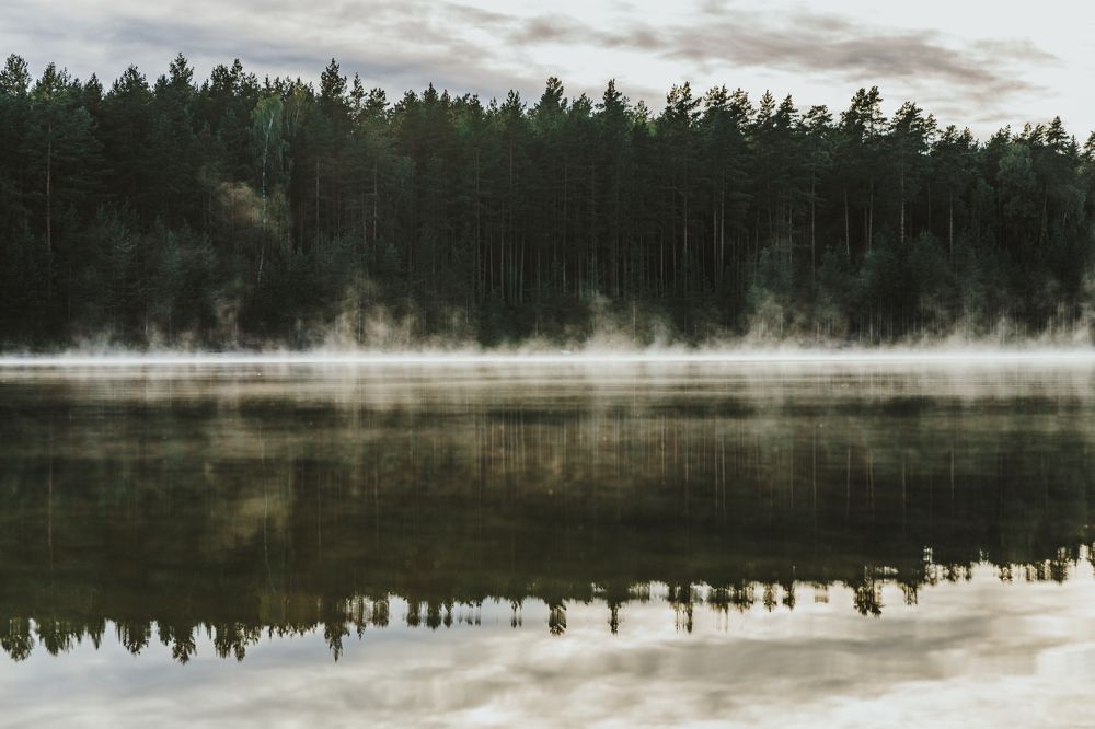 Photograph by Ligita Kluga