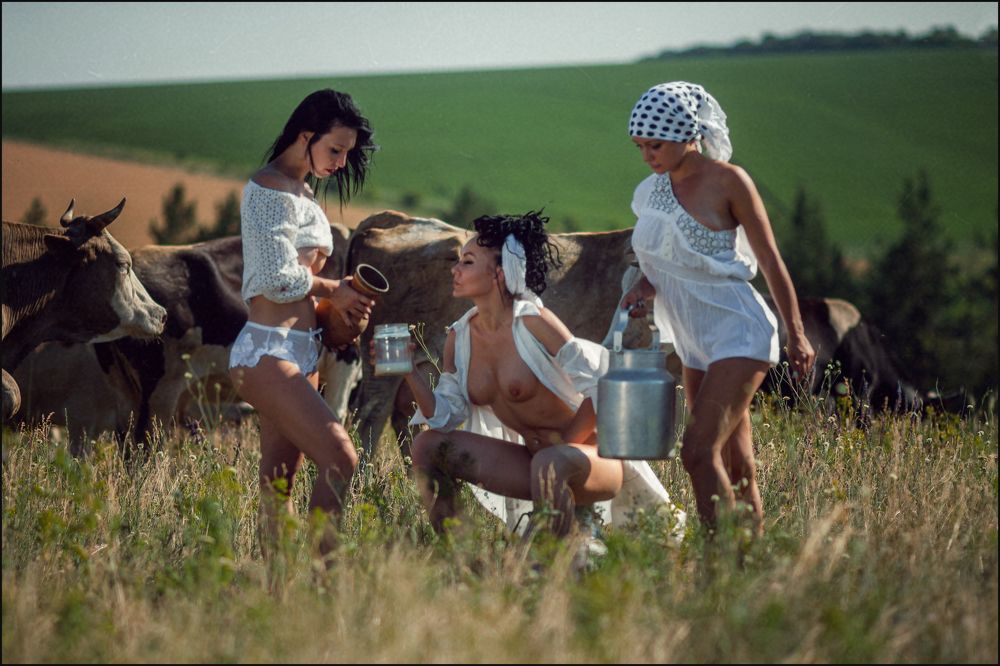 Жаркий полдень на лугу