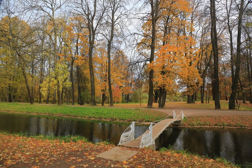 Photograph by Николай Бакулин