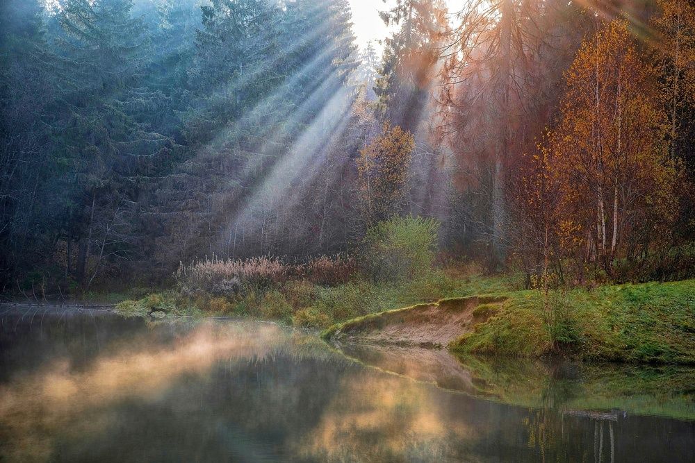 Photograph by Илья Шамин