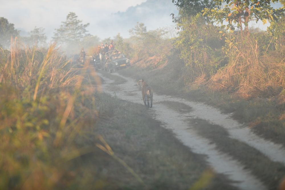 Photograph by Preet saluja