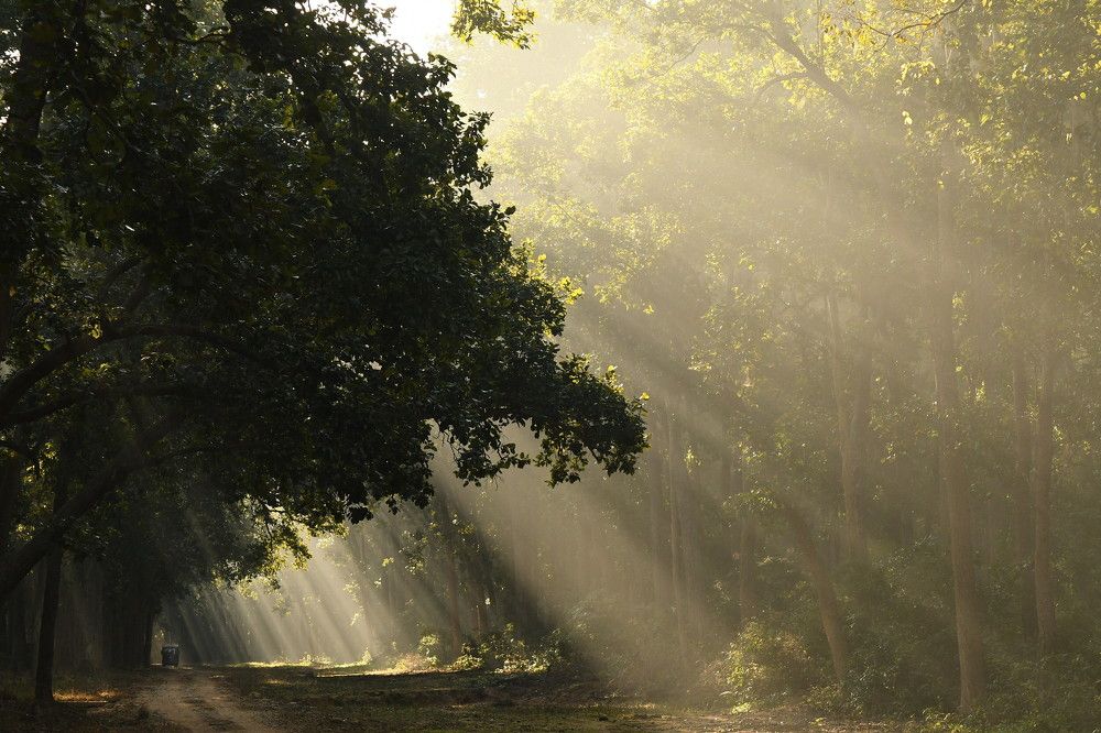 Photograph by Preet saluja