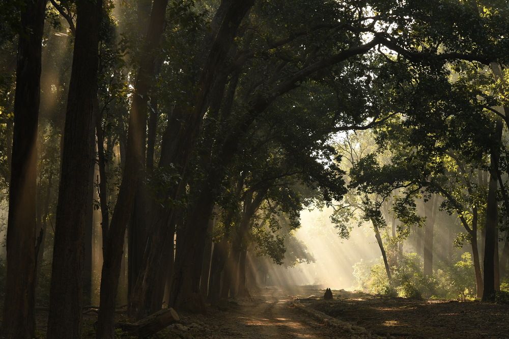 'Road To It's Glory'