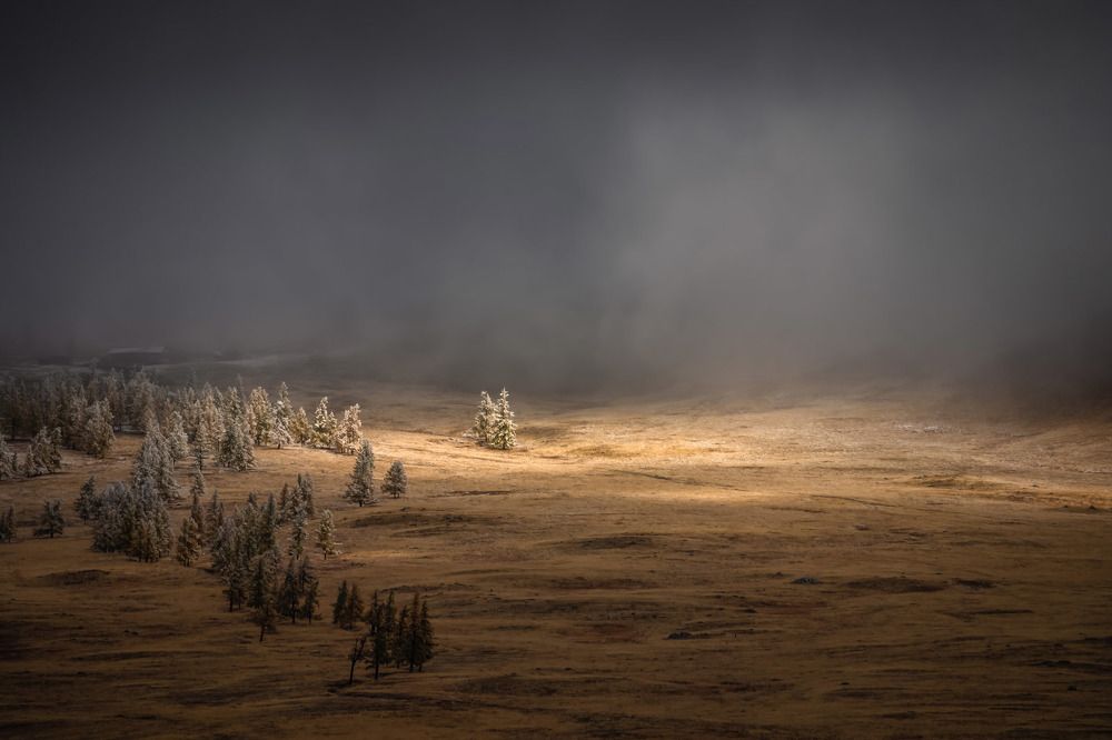 Photograph by Алексей Вымятнин