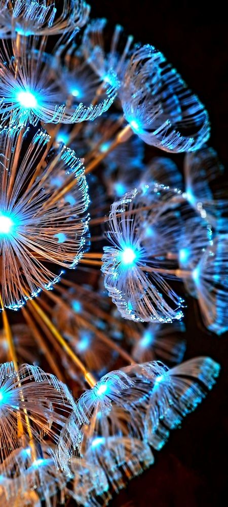 Photograph by Ольга Попова